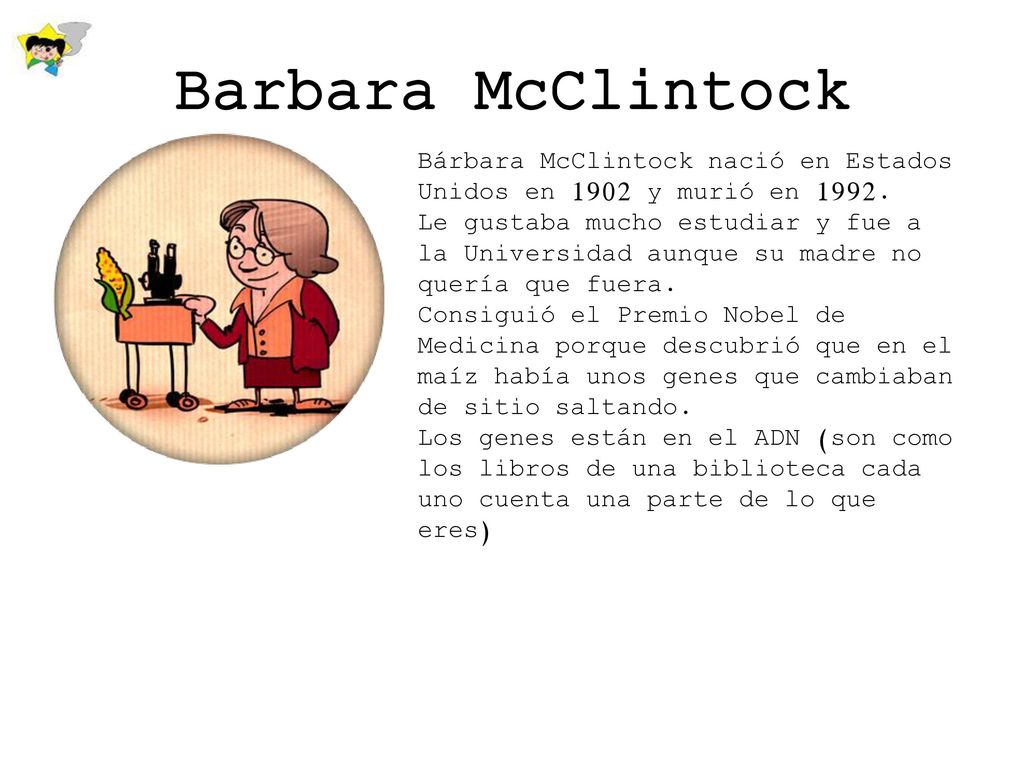 Barbara McClintock Bárbara McClintock nació en Estados Unidos en 1902 y murió en