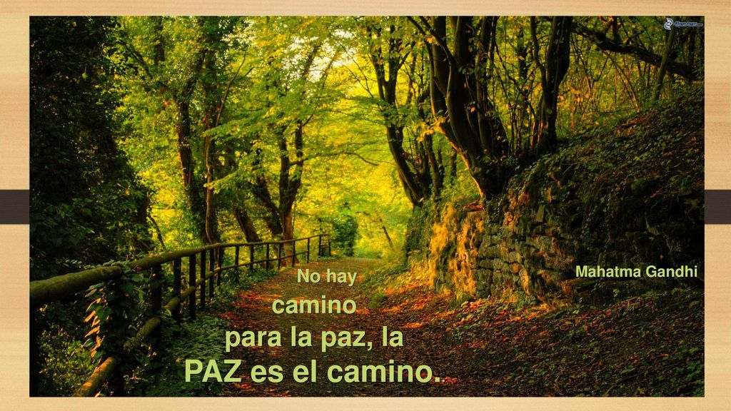 No hay camino para la paz, la PAZ es el camino.. Mahatma Gandhi