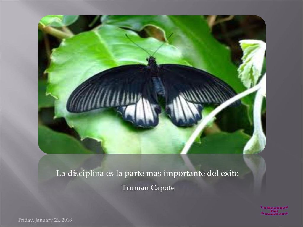 La disciplina es la parte mas importante del exito