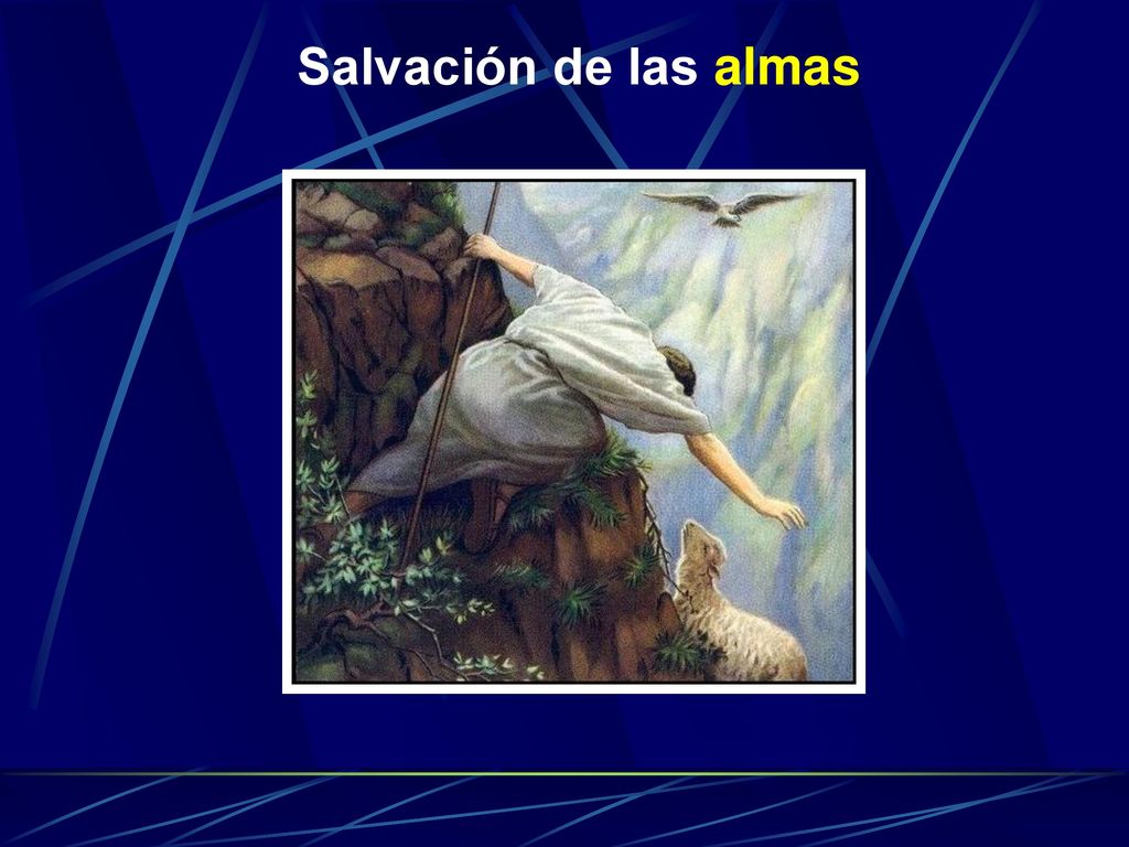 ser discípulos y misioneros de Jesucristo y buscar la vida en Él supone estar profundamente enraizados en Él.