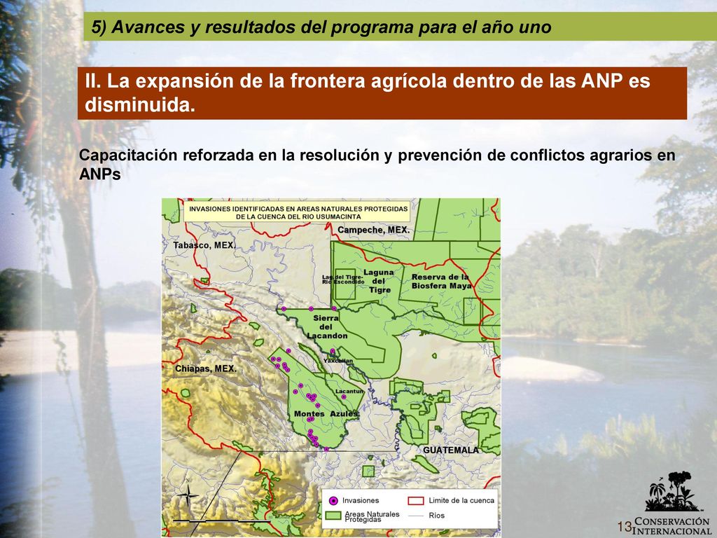 5) Avances y resultados del programa para el año uno