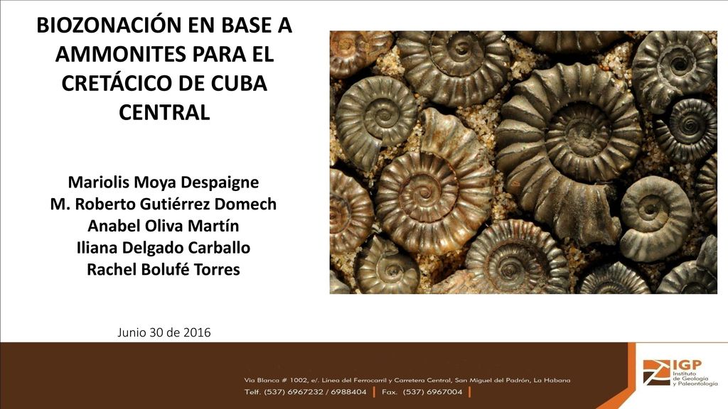 BIOZONACIÓN EN BASE A AMMONITES PARA EL CRETÁCICO DE CUBA CENTRAL