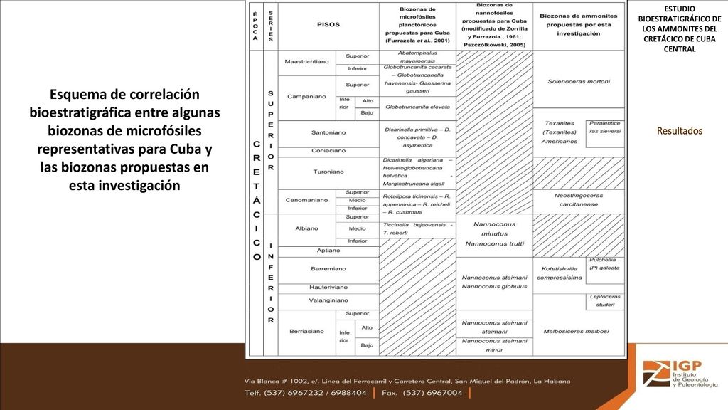 ESTUDIO BIOESTRATIGRÁFICO DE LOS AMMONITES DEL CRETÁCICO DE CUBA CENTRAL