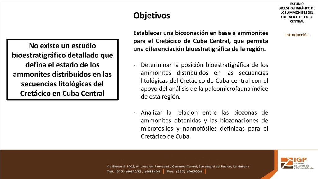 ESTUDIO BIOESTRATIGRÁFICO DE LOS AMMONITES DEL CRETÁCICO DE CUBA CENTRAL
