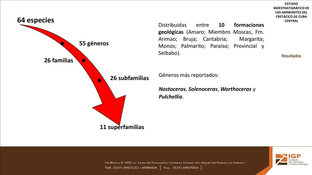 64 especies 55 géneros 26 familias 26 subfamilias 11 superfamilias