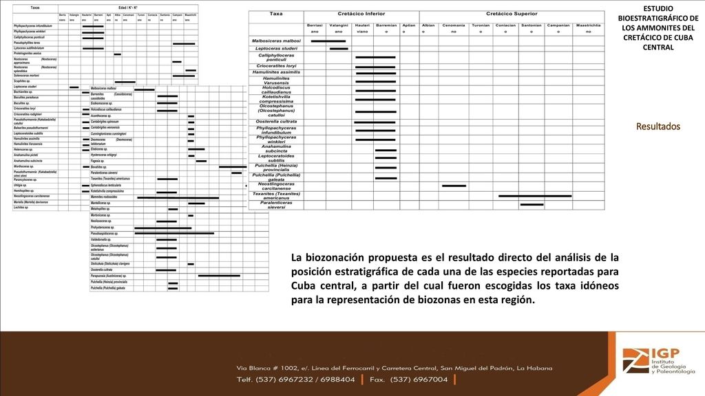 ESTUDIO BIOESTRATIGRÁFICO DE LOS AMMONITES DEL CRETÁCICO DE CUBA CENTRAL
