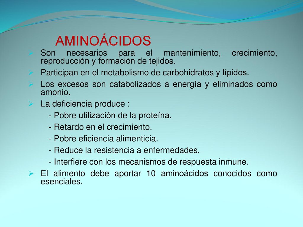 AMINOÁCIDOS Son necesarios para el mantenimiento, crecimiento, reproducción y formación de tejidos.