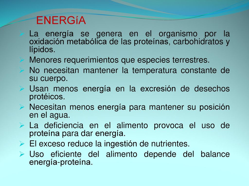 ENERGíA La energía se genera en el organismo por la oxidación metabólica de las proteínas, carbohidratos y lípidos.