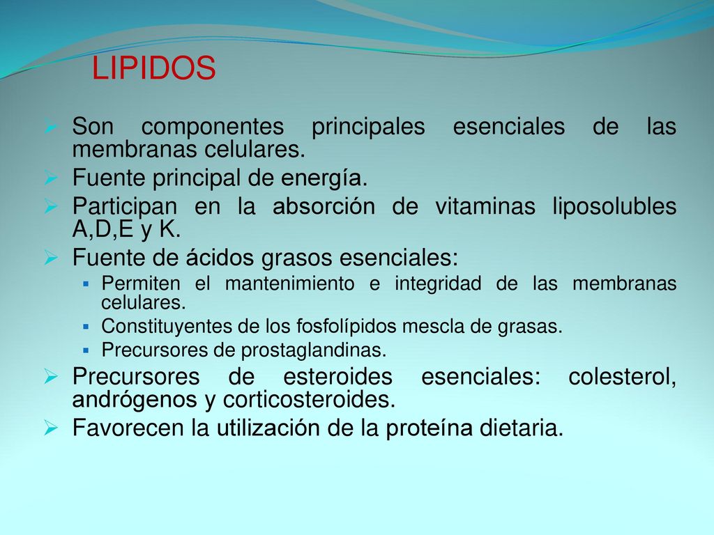 LIPIDOS Son componentes principales esenciales de las membranas celulares. Fuente principal de energía.