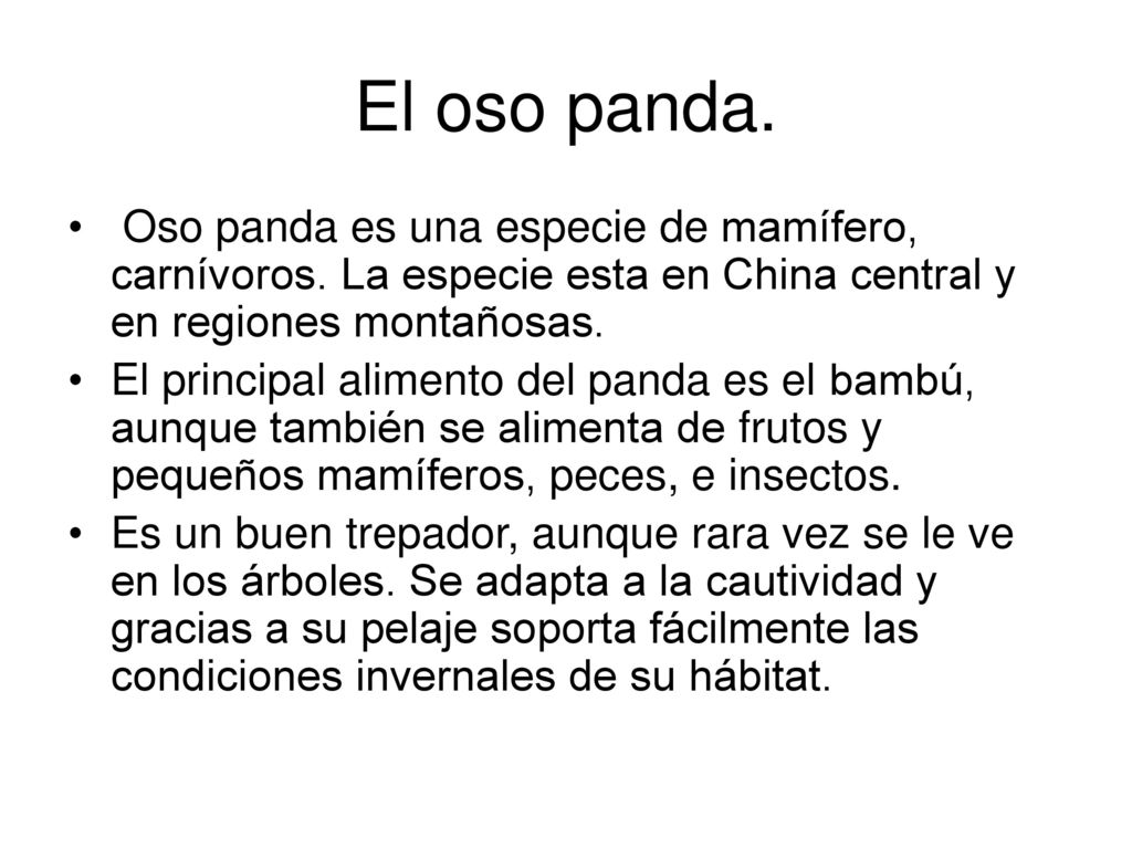 El oso panda. Oso panda es una especie de mamífero, carnívoros. La especie esta en China central y en regiones montañosas.