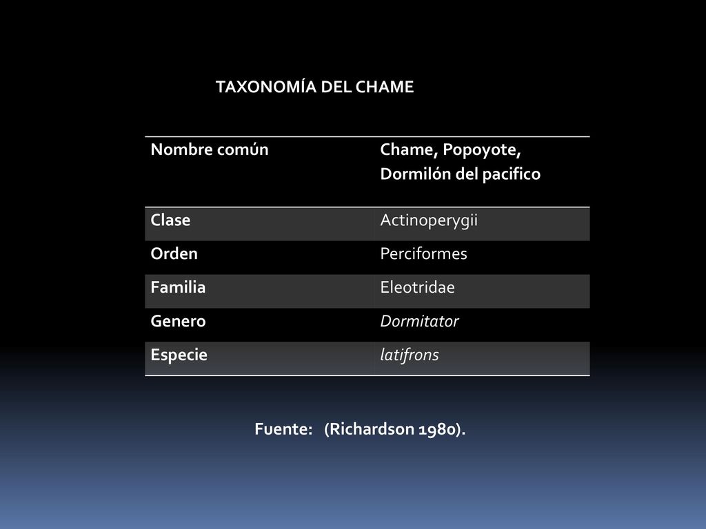 TAXONOMÍA DEL CHAME Nombre común. Chame, Popoyote, Dormilón del pacifico. Clase. Actinoperygii. Orden.