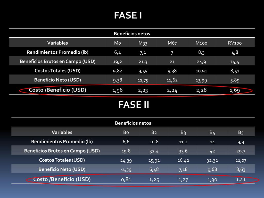 FASE I FASE II Costo /Beneficio (USD) 1,96 2,23 2,24 2,28 1,69
