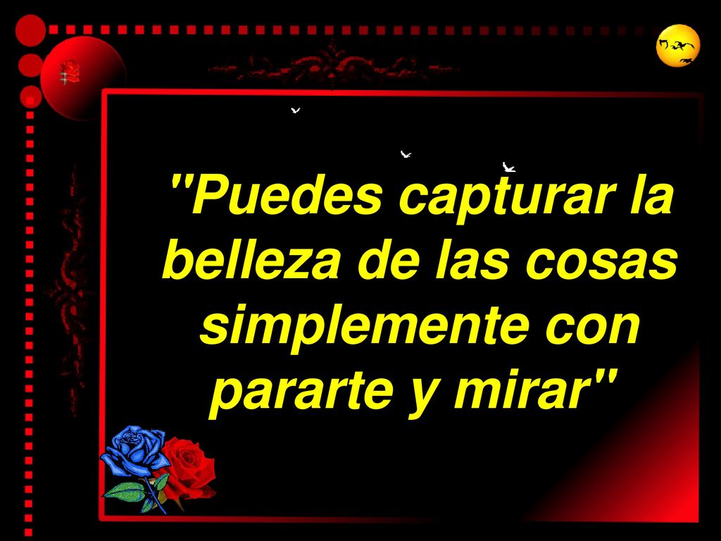 Puedes capturar la belleza de las cosas simplemente con pararte y mirar