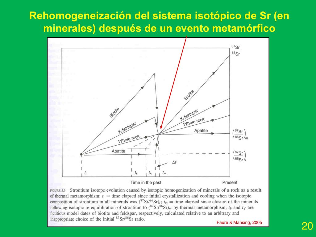 Rehomogeneización del sistema isotópico de Sr (en minerales) después de un evento metamórfico