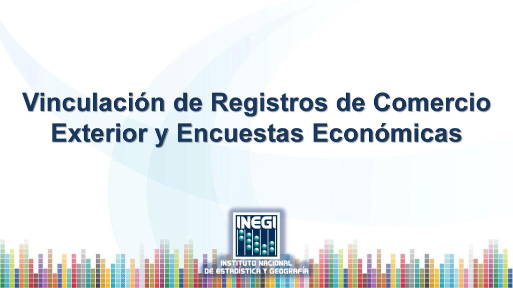 Vinculación de Registros de Comercio Exterior y Encuestas Económicas
