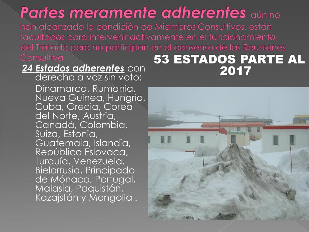 Partes meramente adherentes aún no han alcanzado la condición de Miembros Consultivos, están facultados para intervenir activamente en el funcionamiento del Tratado pero no participan en el consenso de las Reuniones Consultiva