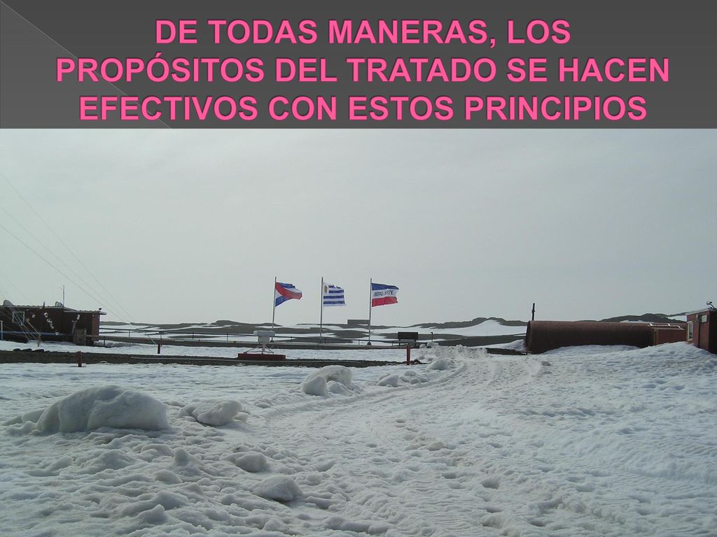 DE TODAS MANERAS, LOS PROPÓSITOS DEL TRATADO SE HACEN EFECTIVOS CON ESTOS PRINCIPIOS