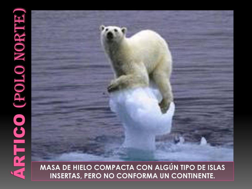 Ártico (polo norte) MASA DE HIELO COMPACTA CON ALGÚN TIPO DE ISLAS INSERTAS, PERO NO CONFORMA UN CONTINENTE.