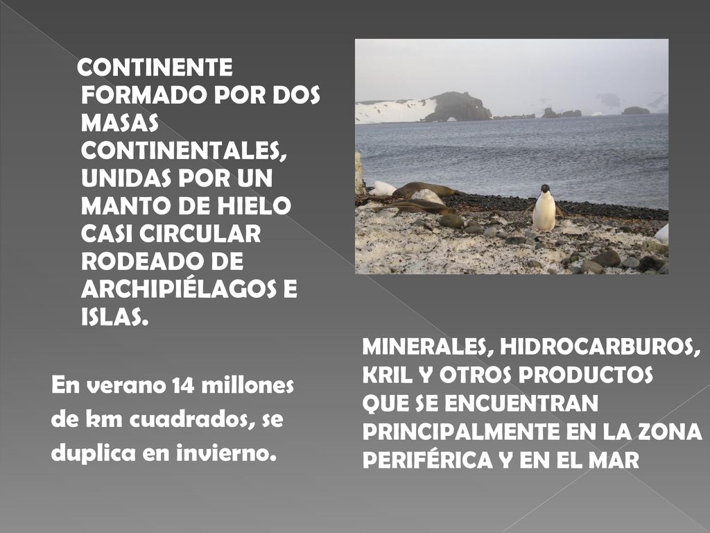 CONTINENTE FORMADO POR DOS MASAS CONTINENTALES, UNIDAS POR UN MANTO DE HIELO CASI CIRCULAR RODEADO DE ARCHIPIÉLAGOS E ISLAS.