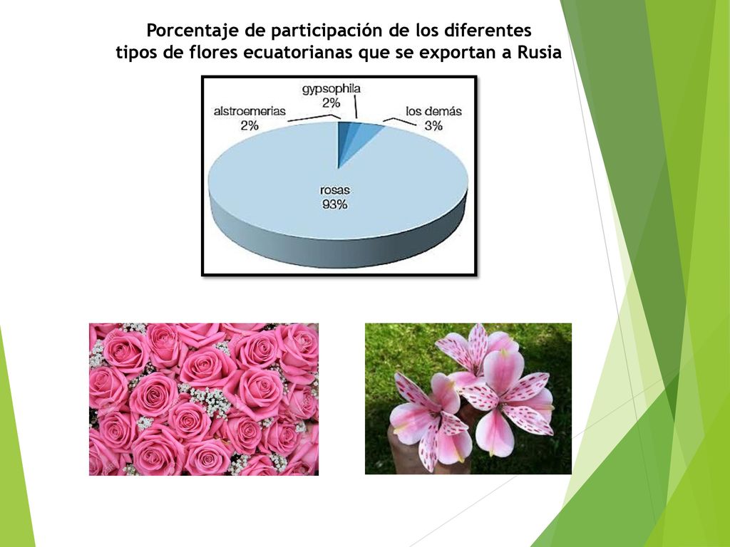 tipos de flores ecuatorianas que se exportan a Rusia