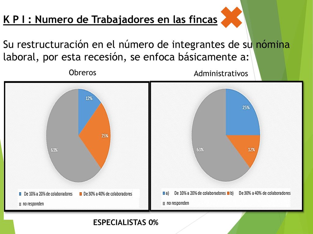 K P I : Numero de Trabajadores en las fincas Su restructuración en el número de integrantes de su nómina laboral, por esta recesión, se enfoca básicamente a: