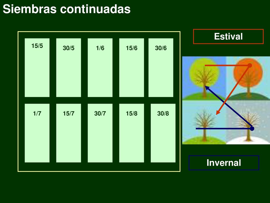 Siembras continuadas Estival Invernal 15/5 30/5 1/6 15/6 30/6 1/7 15/7