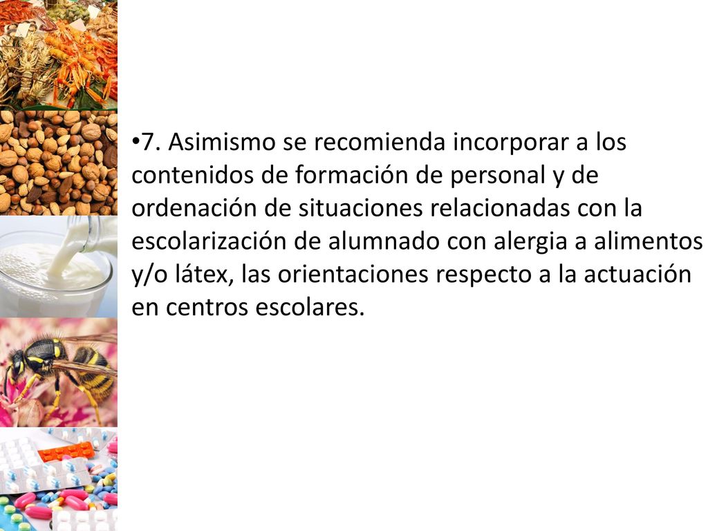 7. Asimismo se recomienda incorporar a los contenidos de formación de personal y de ordenación de situaciones relacionadas con la escolarización de alumnado con alergia a alimentos y/o látex, las orientaciones respecto a la actuación en centros es­colares.