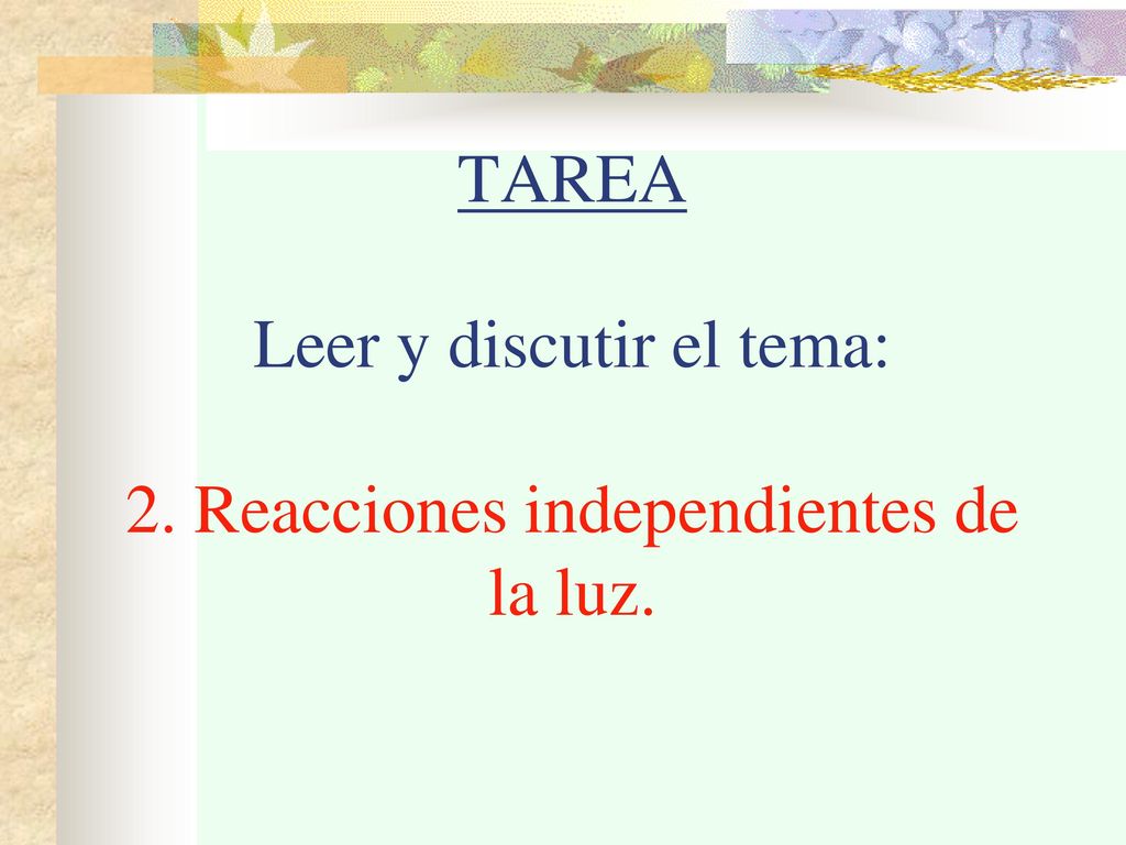 TAREA Leer y discutir el tema: 2. Reacciones independientes de la luz.
