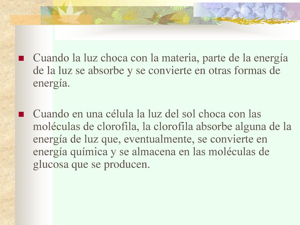 Cuando la luz choca con la materia, parte de la energía de la luz se absorbe y se convierte en otras formas de energía.