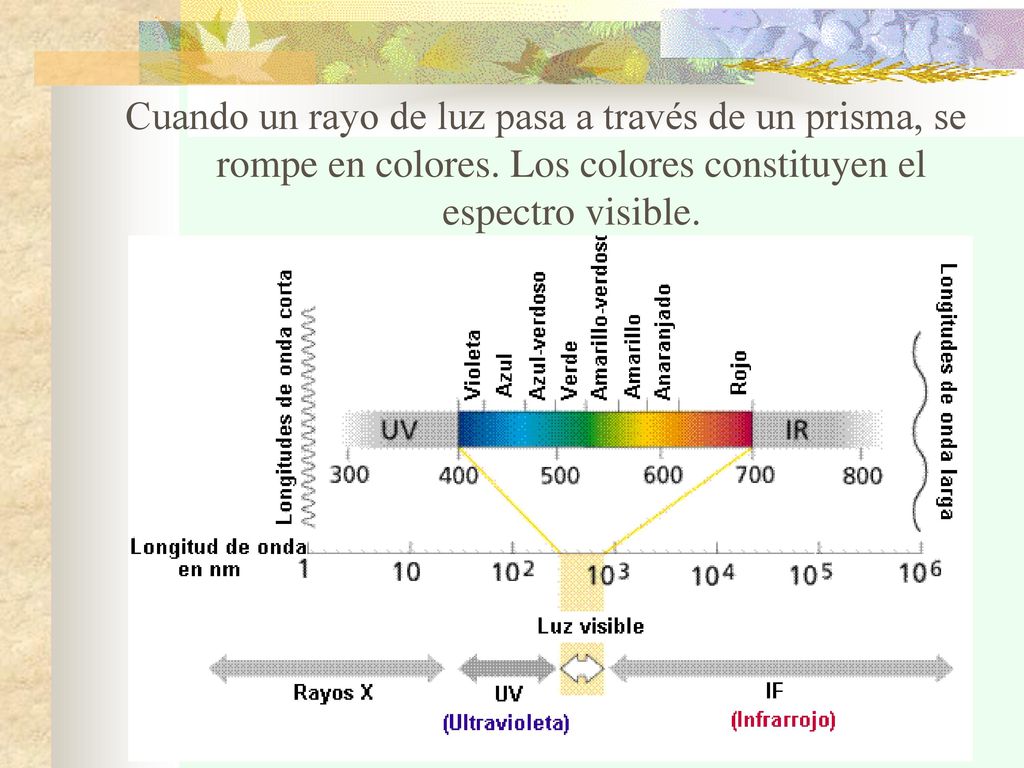Cuando un rayo de luz pasa a través de un prisma, se rompe en colores