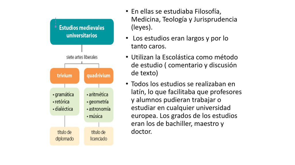 En ellas se estudiaba Filosofía, Medicina, Teología y Jurisprudencia (leyes).