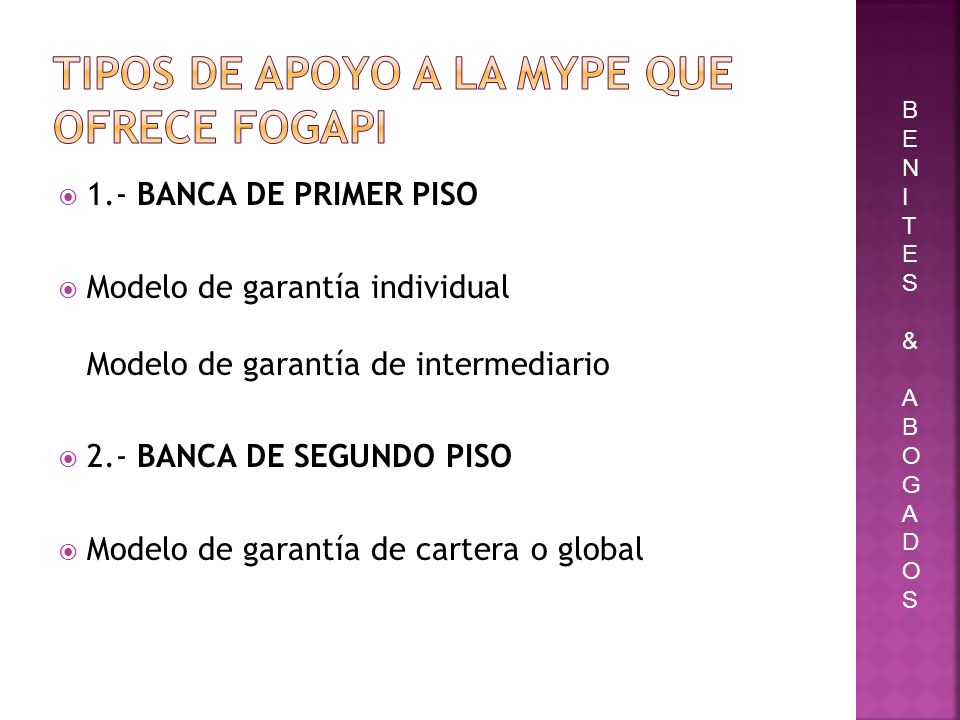 TIPOS DE APOYO A LA MYPE QUE OFRECE FOGAPI