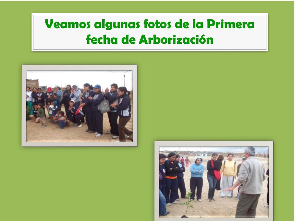 Veamos algunas fotos de la Primera fecha de Arborización