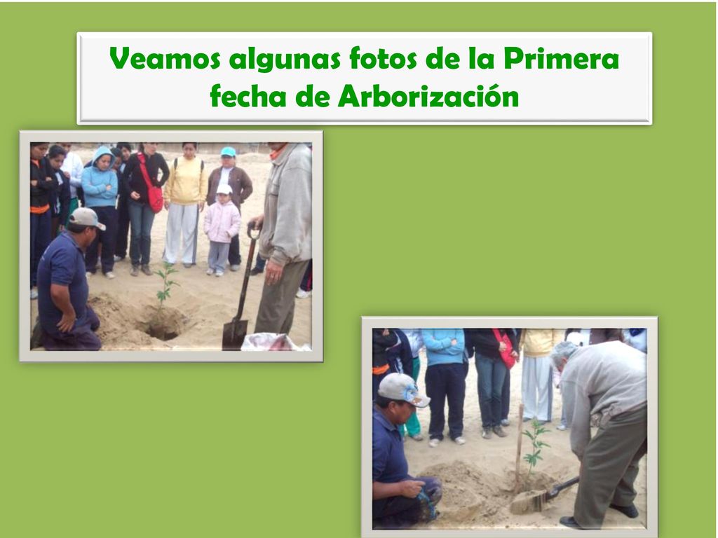 Veamos algunas fotos de la Primera fecha de Arborización