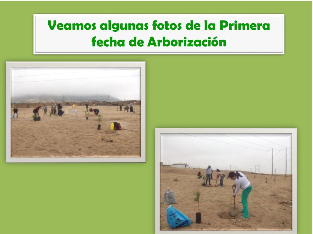 Veamos algunas fotos de la Primera fecha de Arborización