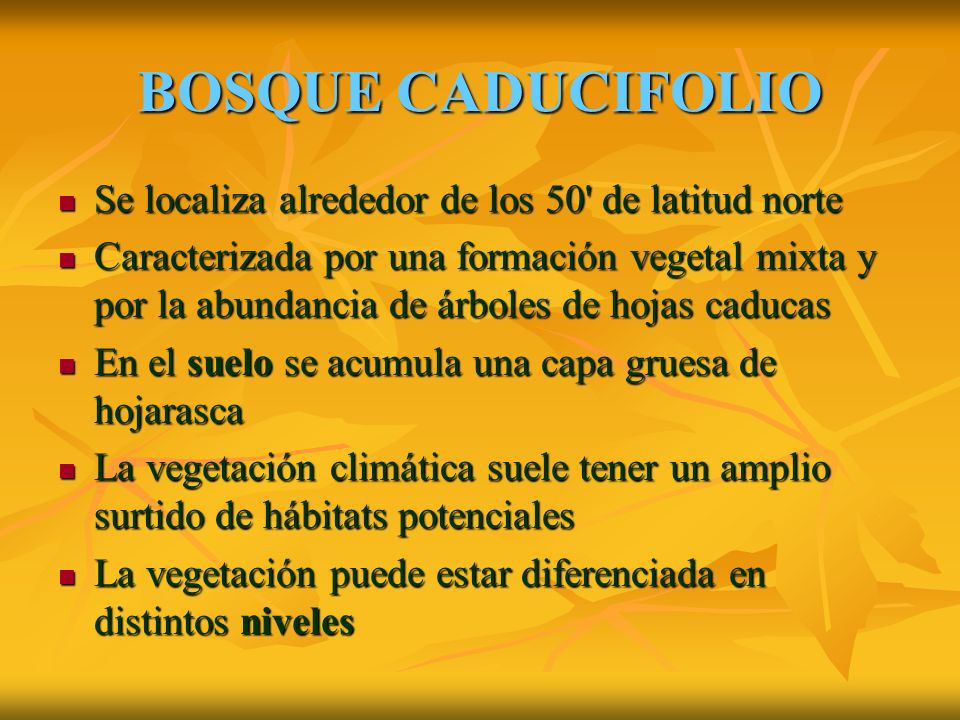 BOSQUE CADUCIFOLIO Se localiza alrededor de los 50 de latitud norte