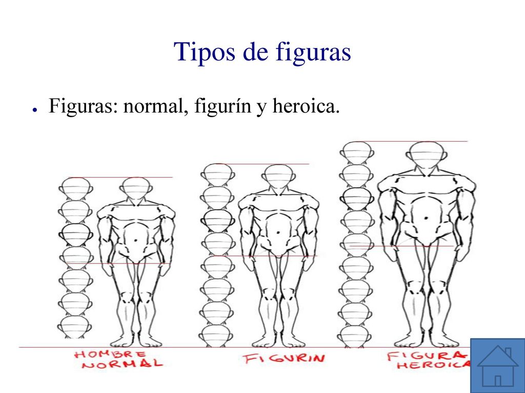 Tipos de figuras Figuras: normal, figurín y heroica.