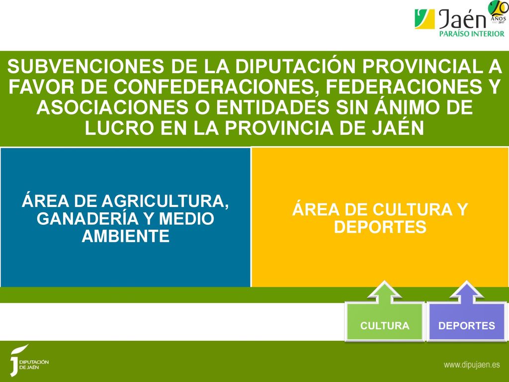 SUBVENCIONES DE LA DIPUTACIÓN PROVINCIAL A FAVOR DE CONFEDERACIONES, FEDERACIONES Y ASOCIACIONES O ENTIDADES SIN ÁNIMO DE LUCRO EN LA PROVINCIA DE JAÉN