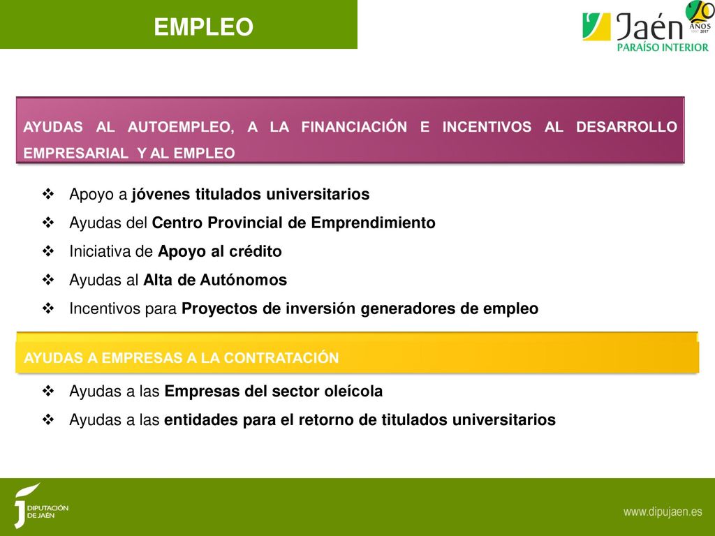 EMPLEO AYUDAS AL AUTOEMPLEO, A LA FINANCIACIÓN E INCENTIVOS AL DESARROLLO EMPRESARIAL Y AL EMPLEO.