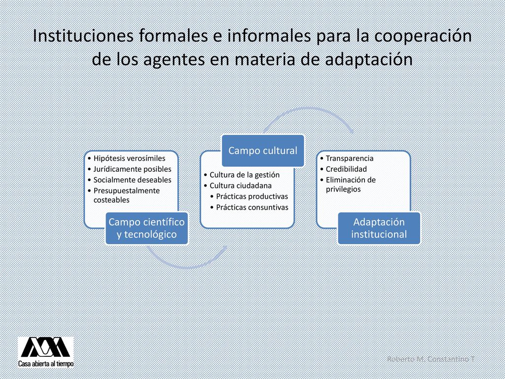 Instituciones formales e informales para la cooperación de los agentes en materia de adaptación