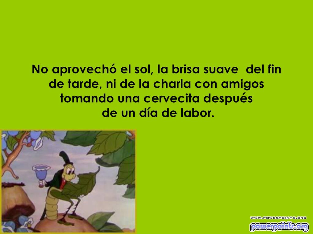 No aprovechó el sol, la brisa suave del fin de tarde, ni de la charla con amigos tomando una cervecita después de un día de labor.