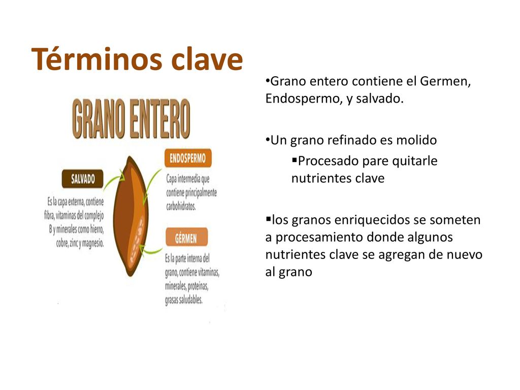 Términos clave Grano entero contiene el Germen, Endospermo, y salvado.