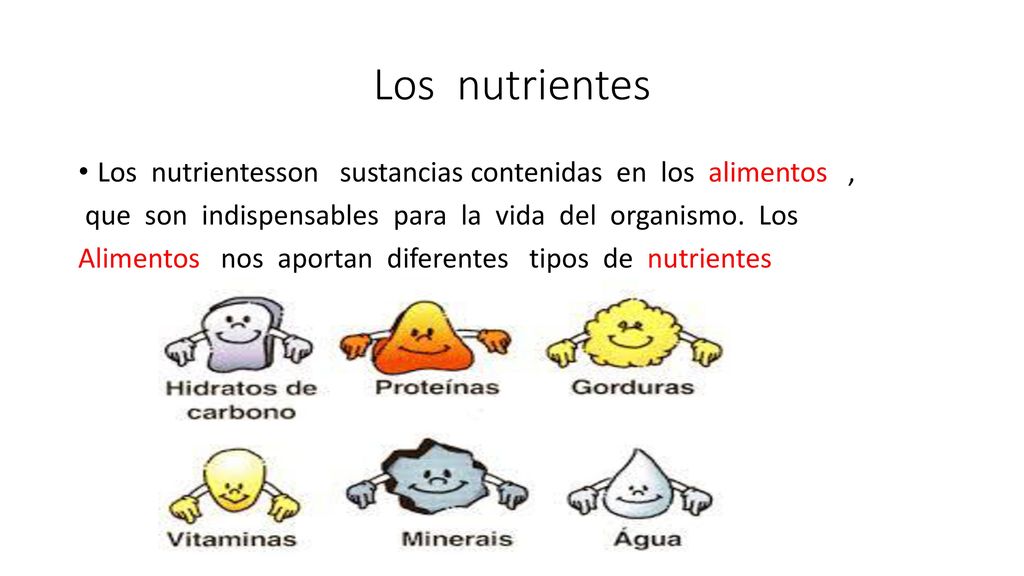 Los nutrientes Los nutrientesson sustancias contenidas en los alimentos , que son indispensables para la vida del organismo. Los.