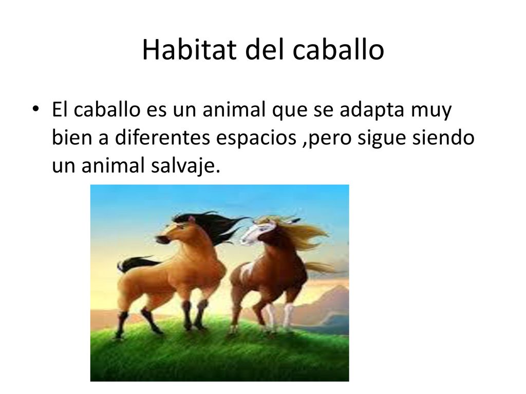 Habitat del caballo El caballo es un animal que se adapta muy bien a diferentes espacios ,pero sigue siendo un animal salvaje.