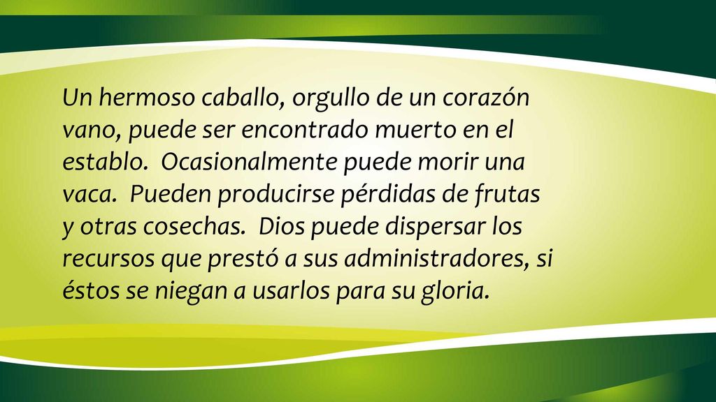 Un hermoso caballo, orgullo de un corazón vano, puede ser encontrado muerto en el establo.