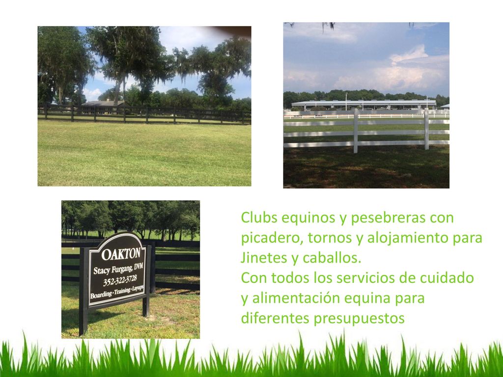 Clubs equinos y pesebreras con picadero, tornos y alojamiento para Jinetes y caballos.