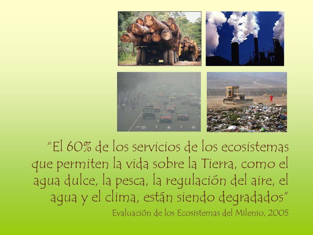 El 60% de los servicios de los ecosistemas que permiten la vida sobre la Tierra, como el agua dulce, la pesca, la regulación del aire, el agua y el clima, están siendo degradados
