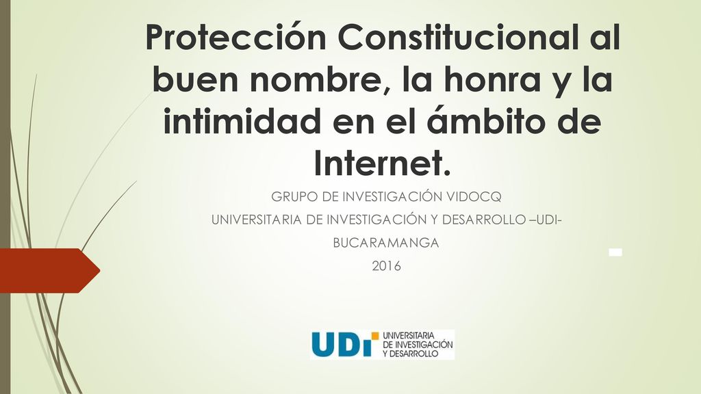 Protección Constitucional al buen nombre, la honra y la intimidad en el ámbito de Internet.