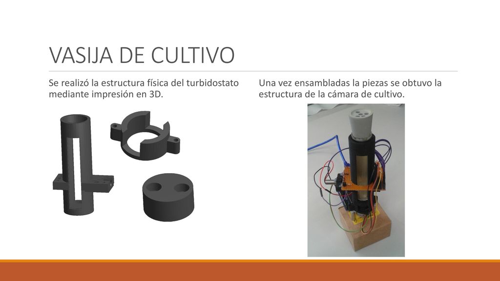 VASIJA DE CULTIVO Se realizó la estructura física del turbidostato mediante impresión en 3D.