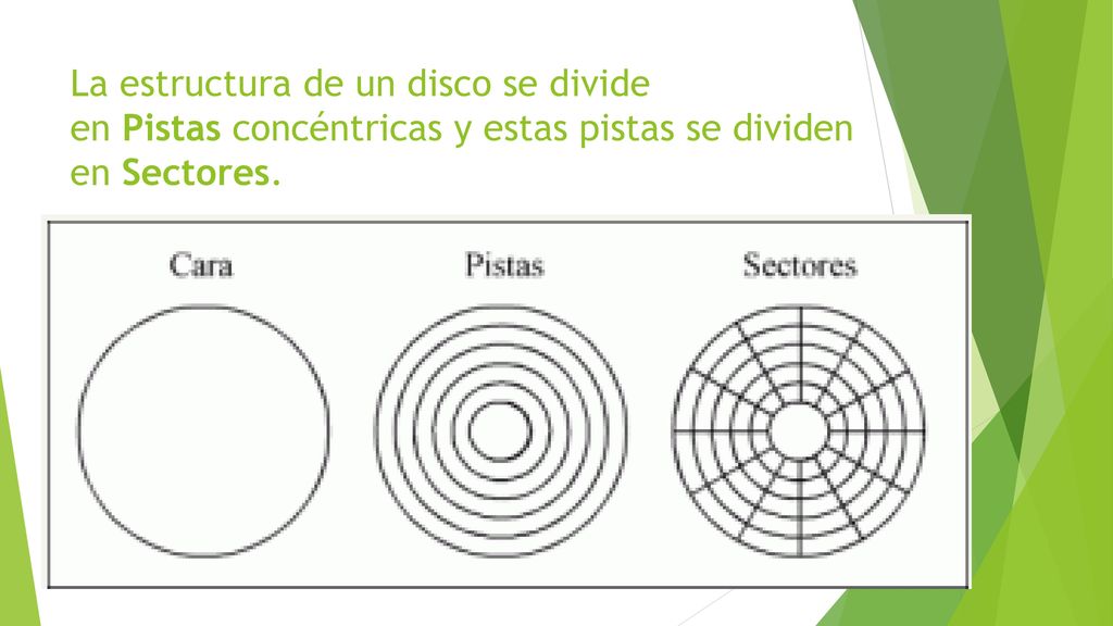 La estructura de un disco se divide en Pistas concéntricas y estas pistas se dividen en Sectores.